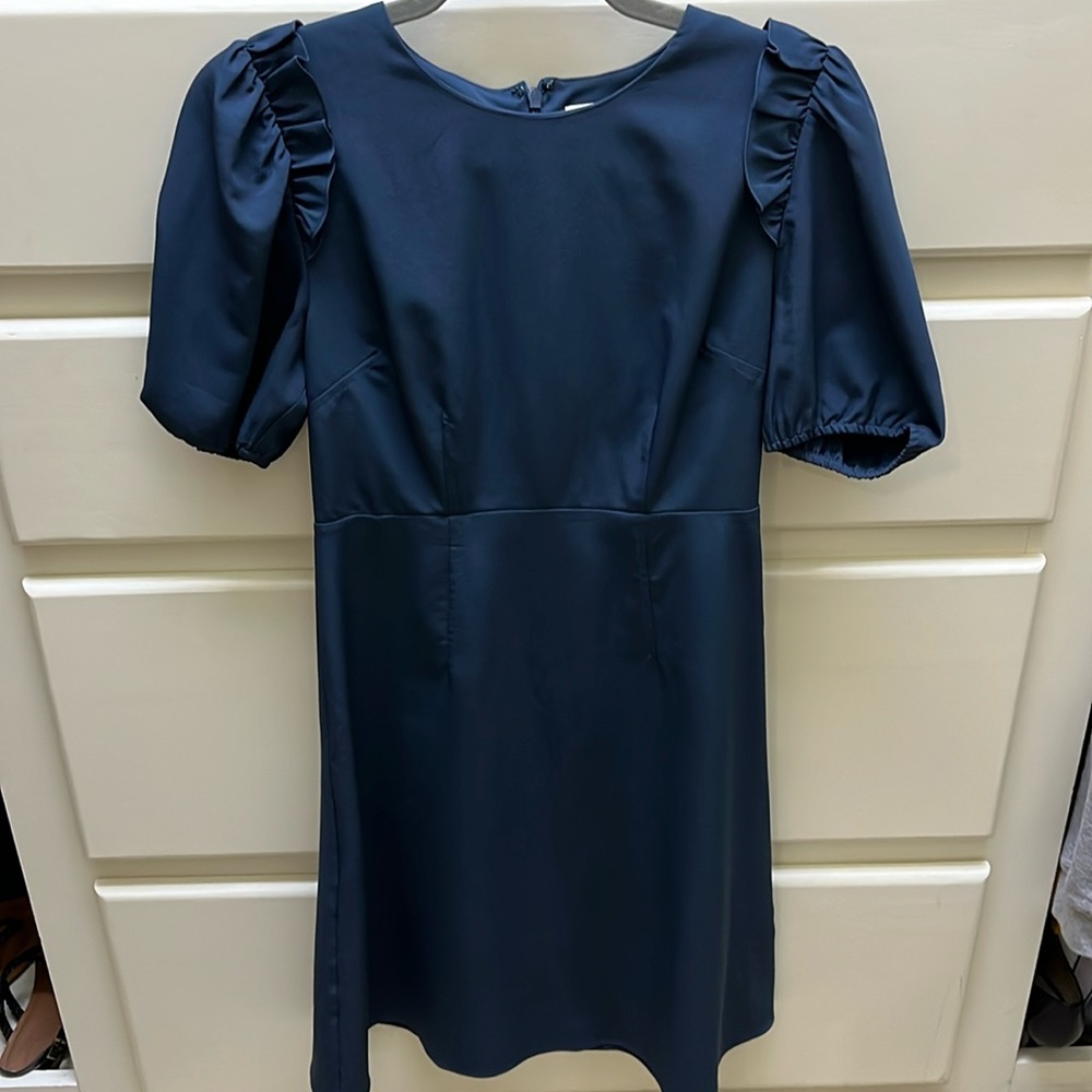Lark and Ro desss size 0- EUC